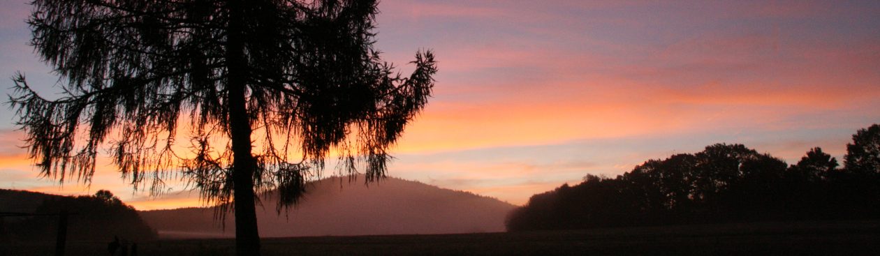 Komm, geh mit mir ein Stück!